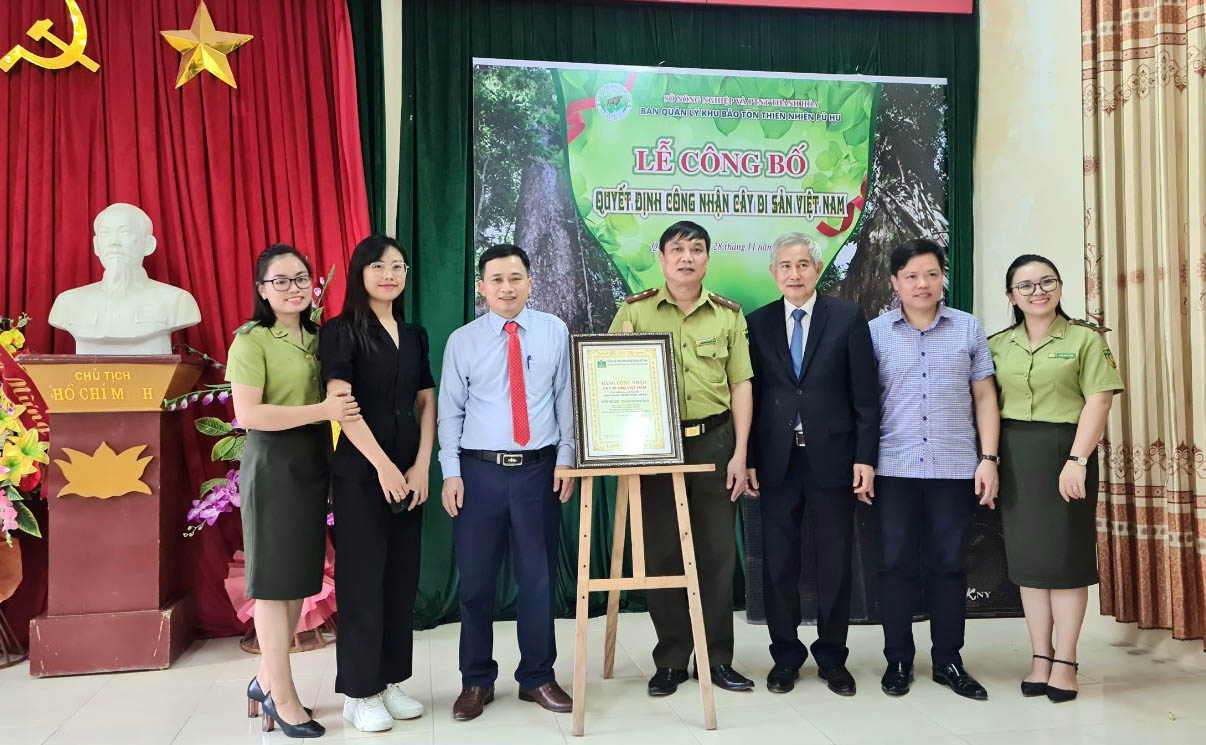Lễ[-]đón[-]Bằng[-]nhận[-]cây[-]Di[-]sản[-]Việt[-]Nam[-]cho[-]6[-]cây[-]Chò[-]xanh[-]cổ[-]thụ[-]ở[-]Thanh[-]Hóa